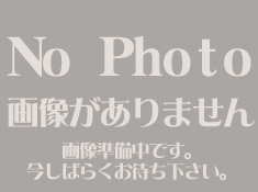 宮城県登米市産 無農薬 無化学肥料 特別栽培米 JAS有機栽培米 ひとめぼれの販売 しのざき米店
