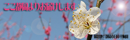 ���̂����ēX�́A���q�l�ɖ{���̖������͂����Ă���܂��B